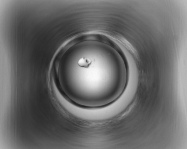 X0000099980892200805231422