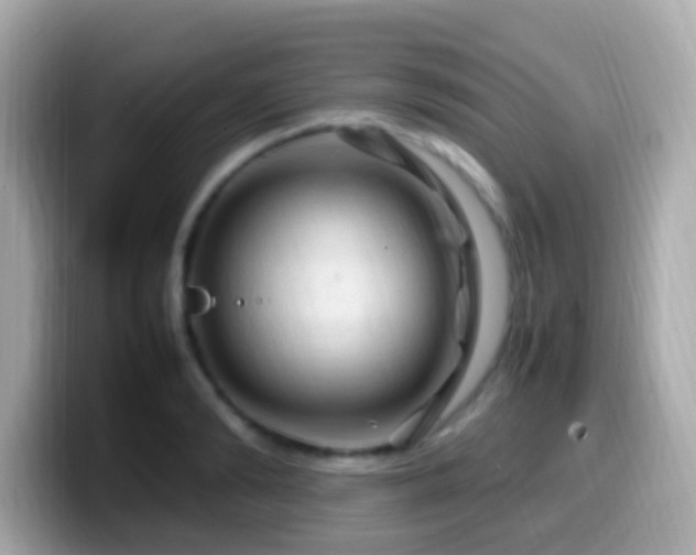 X0000099980894200805231422