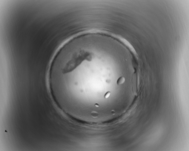 X0000099980895200805231422