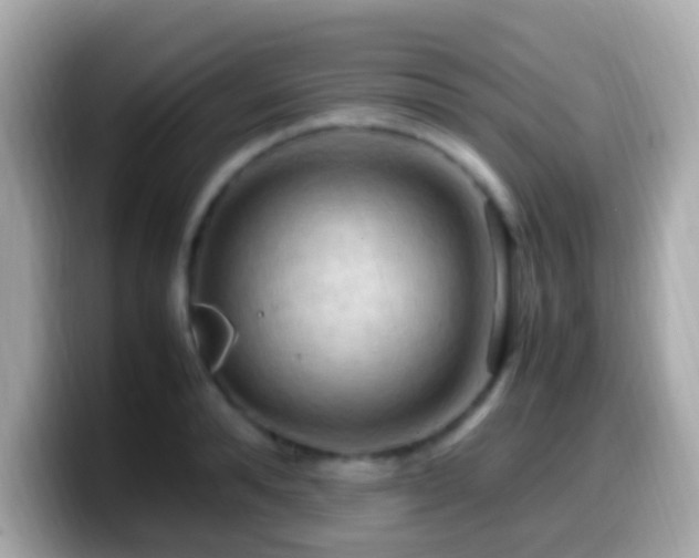 X0000099980896200805231422