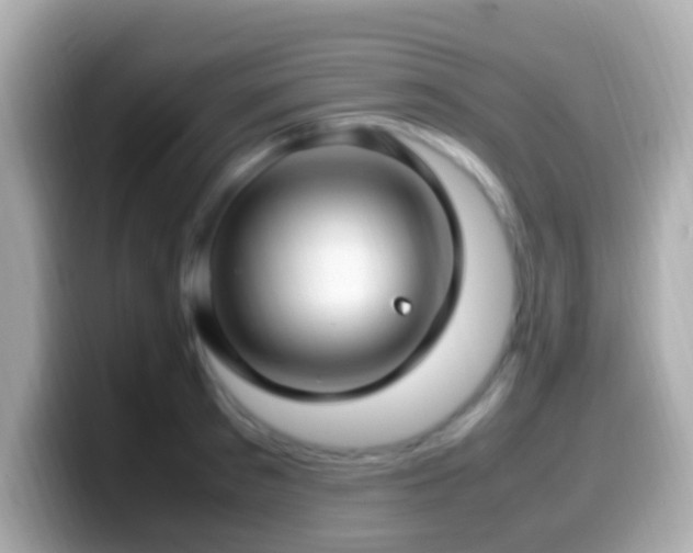 X0000099980897200805231422