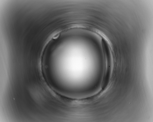 X0000099980898200805231422