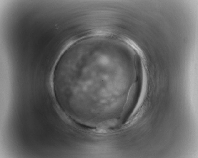 X0000099980899200805231422