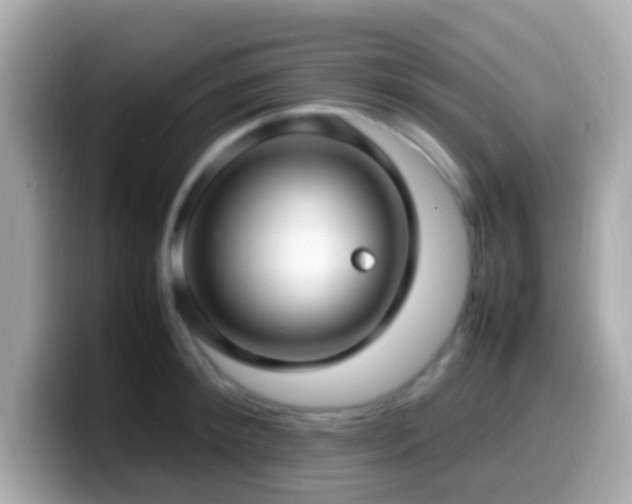 X0000099980900200805231422