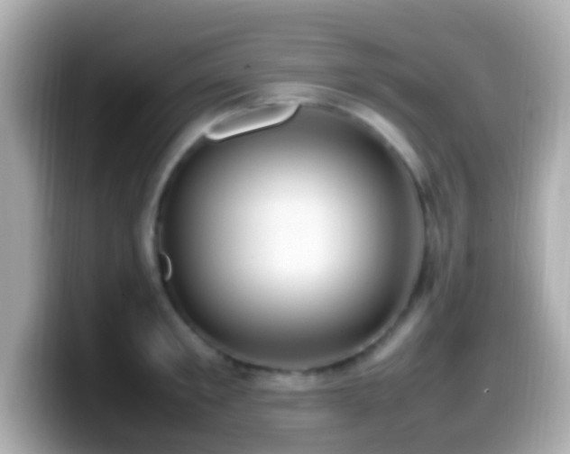 X0000099980901200805231422