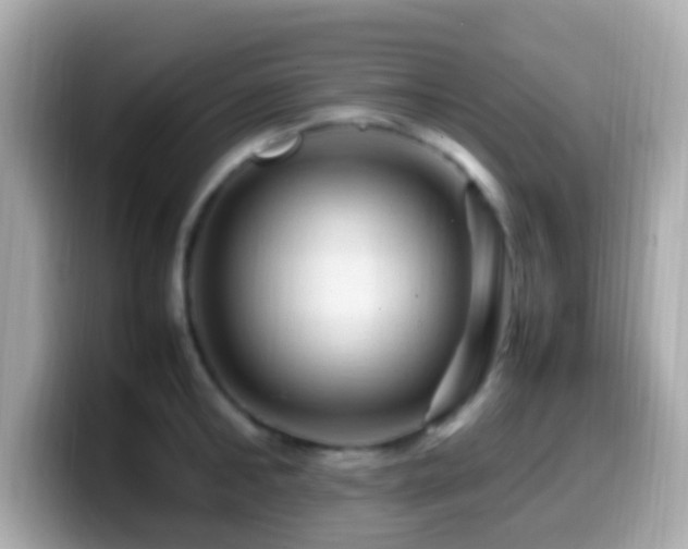 X0000099980902200805231422