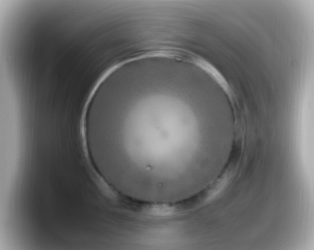 X0000099980907200805231422