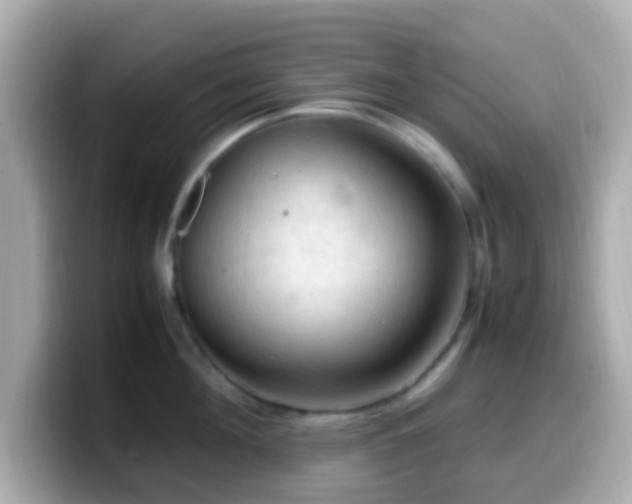 X0000099980908200805231422