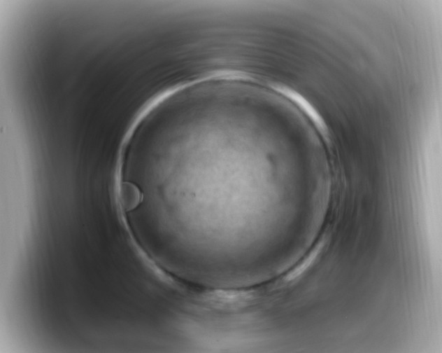 X0000099980910200805231422