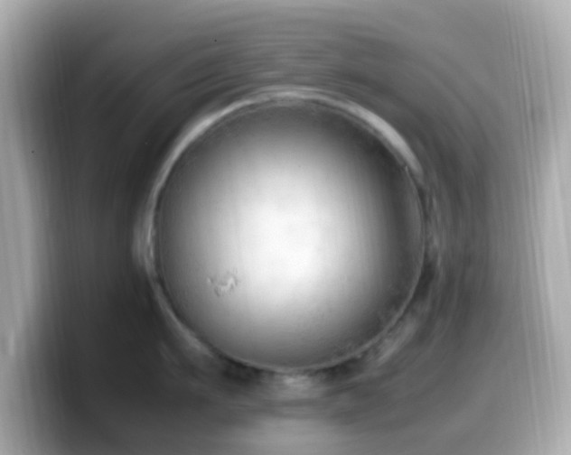 X0000099980911200805231422