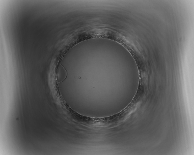 X0000099980913200805231421
