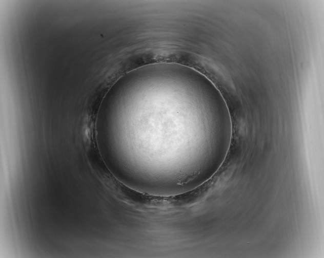 X0000099980914200805231421