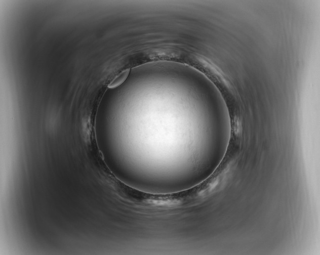 X0000099980915200805231421