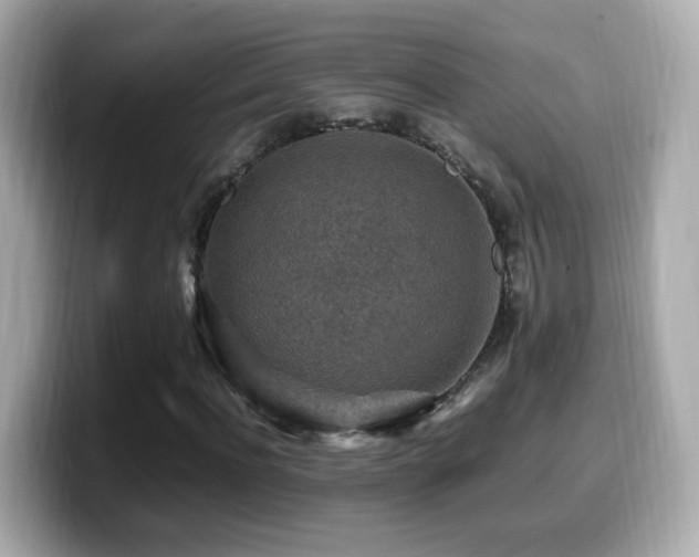X0000099980916200805231421