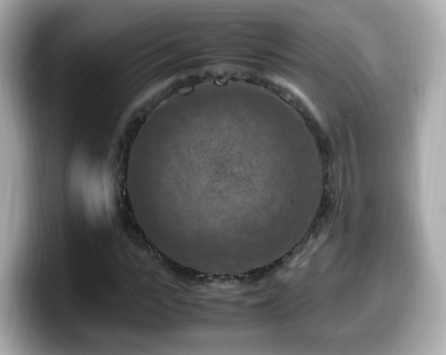 X0000099980919200805231422