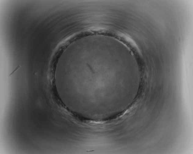 X0000099980920200805231422