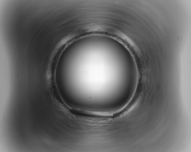 X0000099980922200805231422