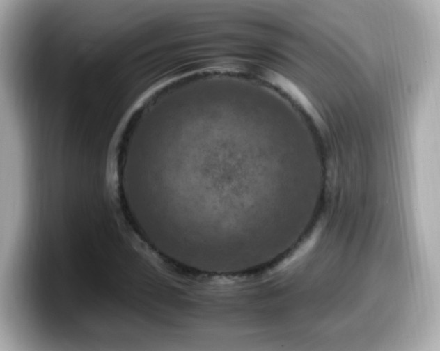 X0000099980923200805231422