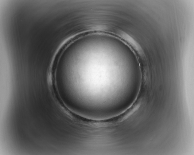 X0000099980924200805231422