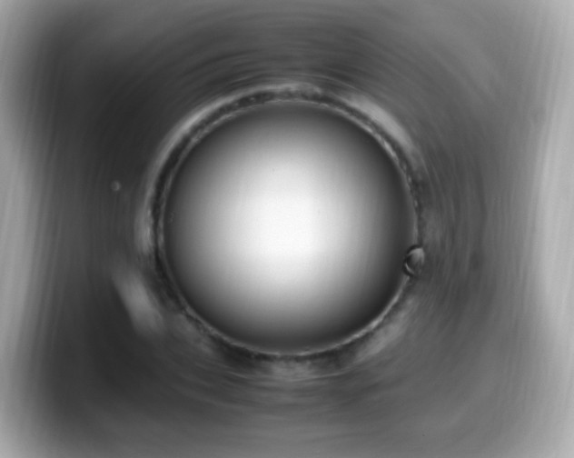 X0000099980927200805231422
