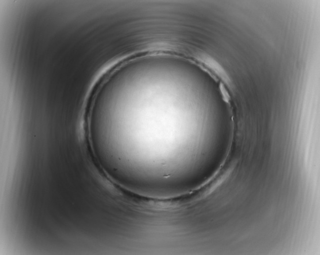 X0000099980928200805231422
