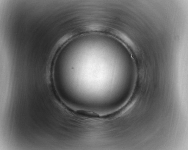 X0000099980930200805231422