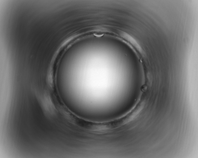 X0000099980931200805231422