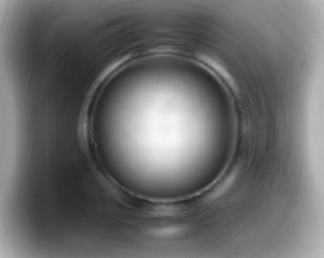 X0000099980933200805231422