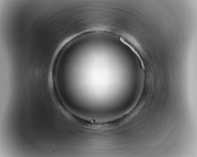 X0000099980936200805231422