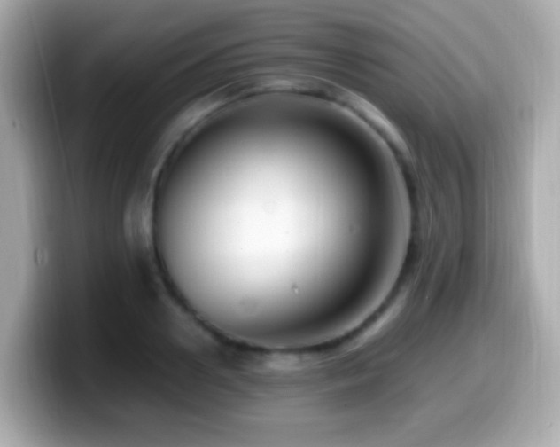 X0000099980938200805231422
