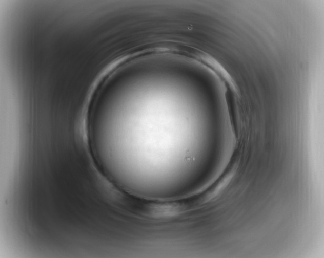 X0000099980939200805231422