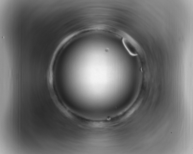 X0000099980940200805231422