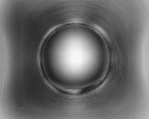 X0000099980942200805231422