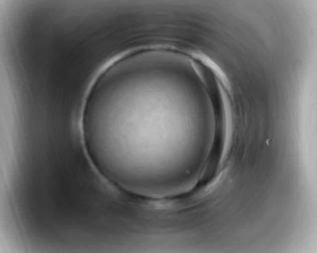 X0000099980943200805231422