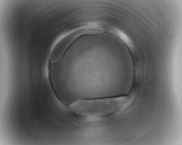 X0000099980944200805231422
