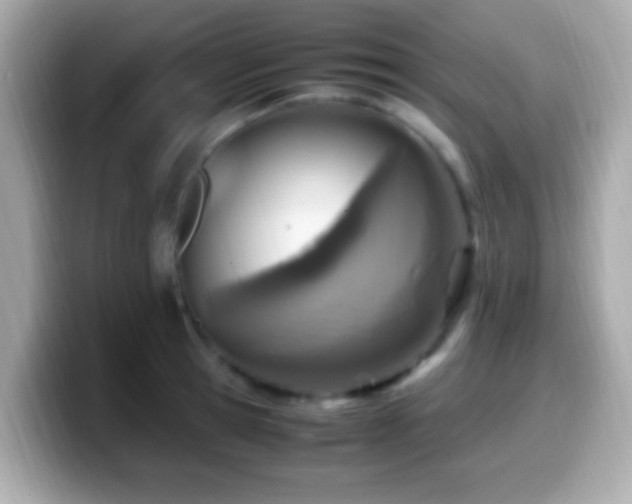 X0000099980945200805231422