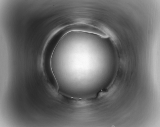 X0000099980948200805231422