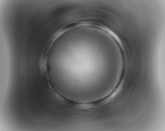 X0000099980953200805231422