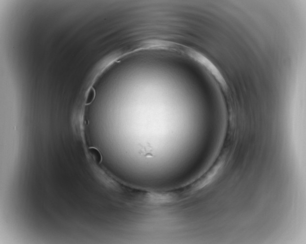 X0000099980954200805231422