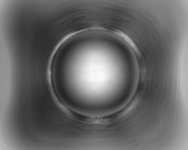 X0000099980955200805231422