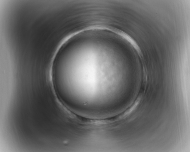 X0000099980958200805231422