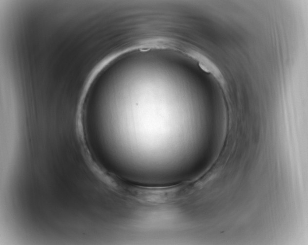 X0000099980960200805231422