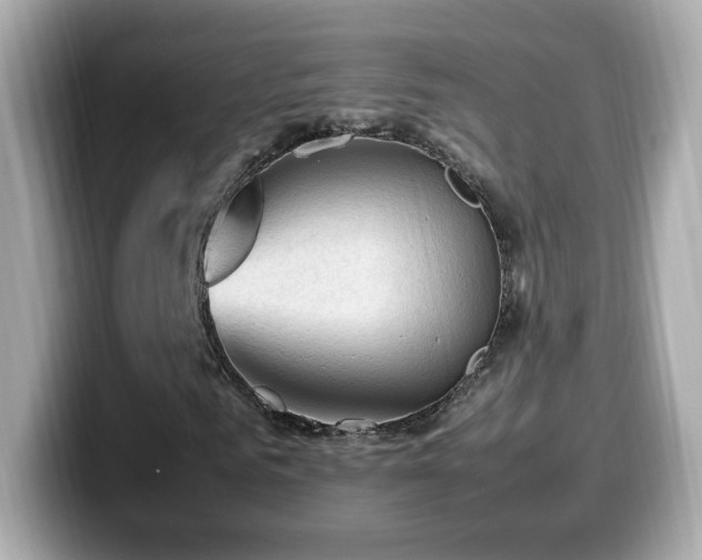 X0000099980961200805231421