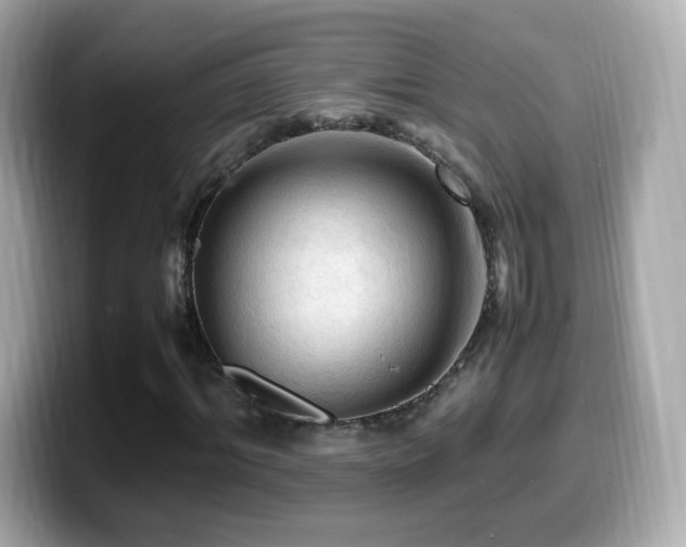 X0000099980964200805231421