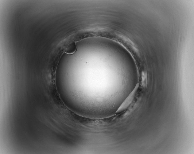X0000099980966200805231421