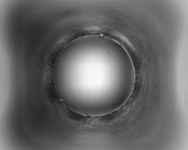 X0000099980967200805231421