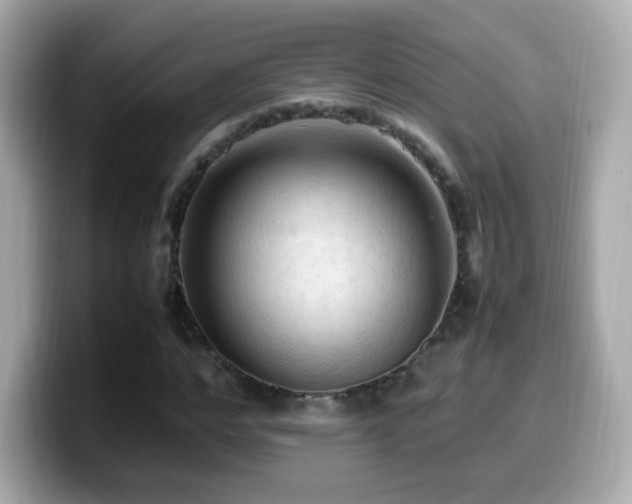 X0000099980968200805231421