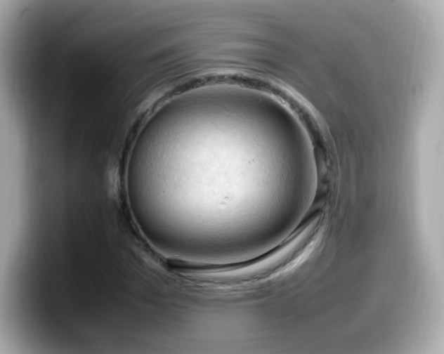 X0000099980969200805231421