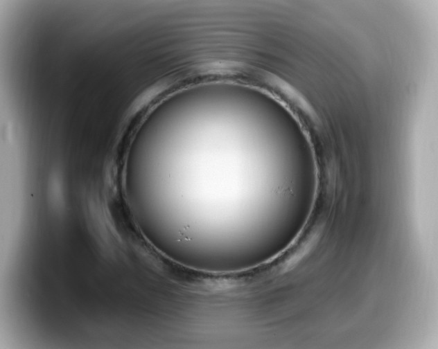 X0000099980970200805231421