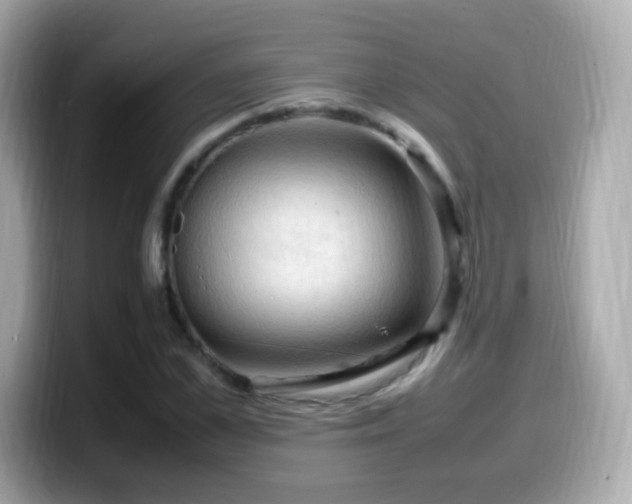 X0000099980973200805231421